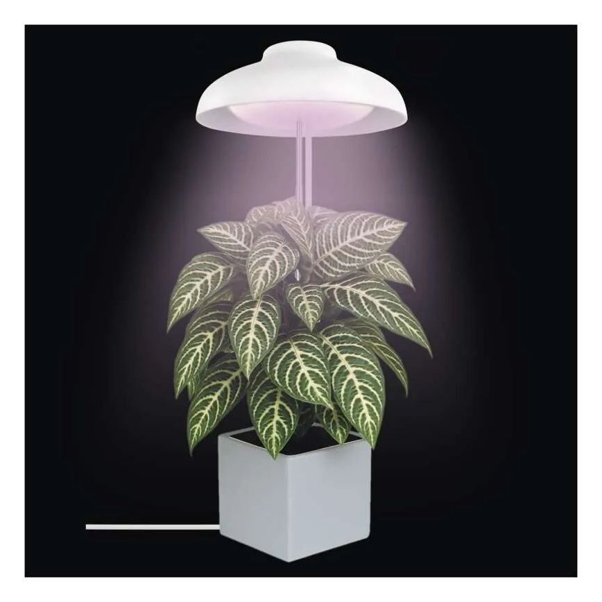 LED unutrašnja lampa za uzgoj biljaka GROW LED/5W/5V