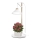 LED unutrašnja lampa za uzgoj biljaka GROW LED/7W/5V