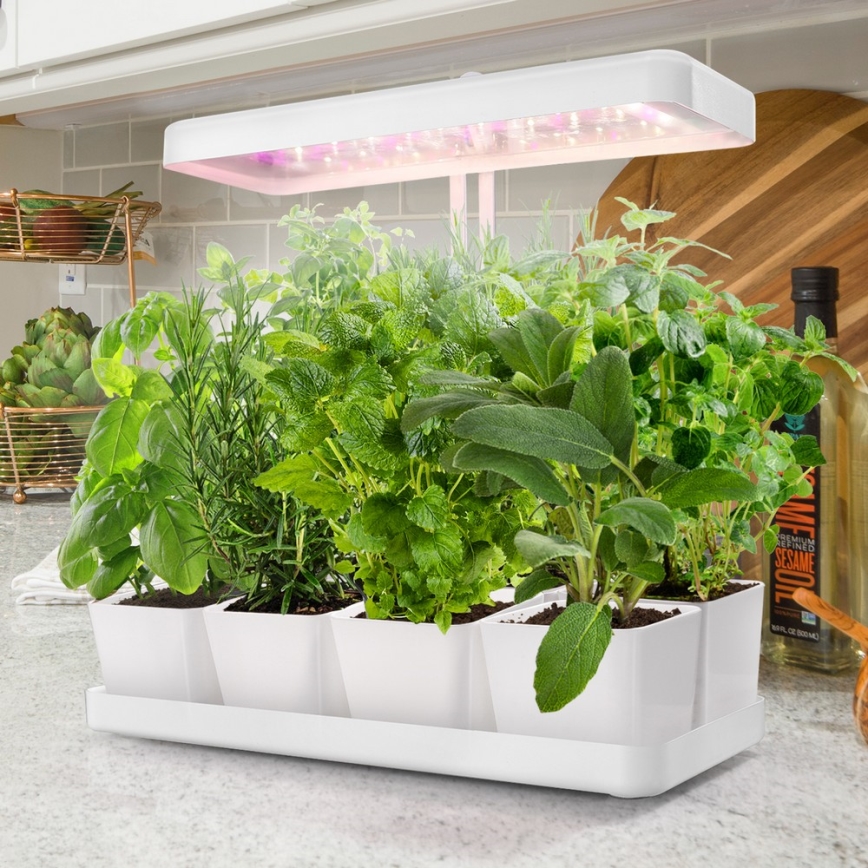 LED unutrašnja lampa za uzgoj biljaka LED/20W/5V 3500K