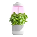 LED unutrašnja lampa za uzgoj biljaka LED/5W/5V 3200K