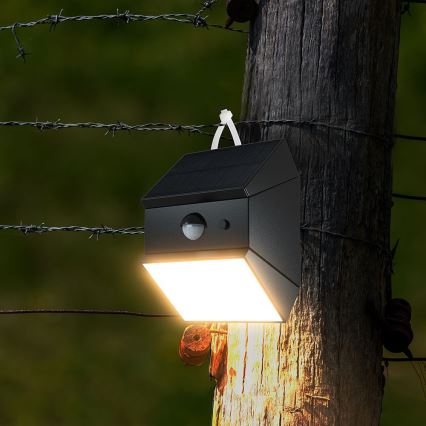 LED zidno solarno svetlo sa senzorom LED/2,5W/3,7V 3000/4000/6000K IP65 1200 mAh crna