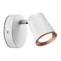 LED zidna spot svetiljka LED/5W/230V 3000K bela