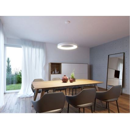 LED2 - LED luster na sajli BELLA LED/40W/230V 3000/4000K bela
