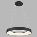 LED2 - LED luster na sajli BELLA LED/40W/230V 3000/4000K crna