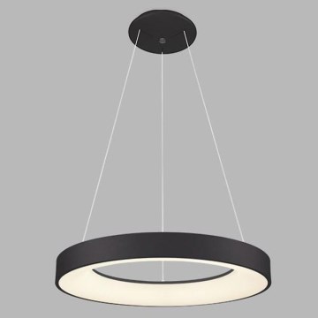 LED2 - LED luster na sajli BELLA LED/40W/230V 3000/4000K crna
