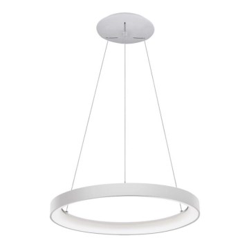 LED2 - LED luster na sajli BELLA LED/48W/230V 3000K/4000K bela