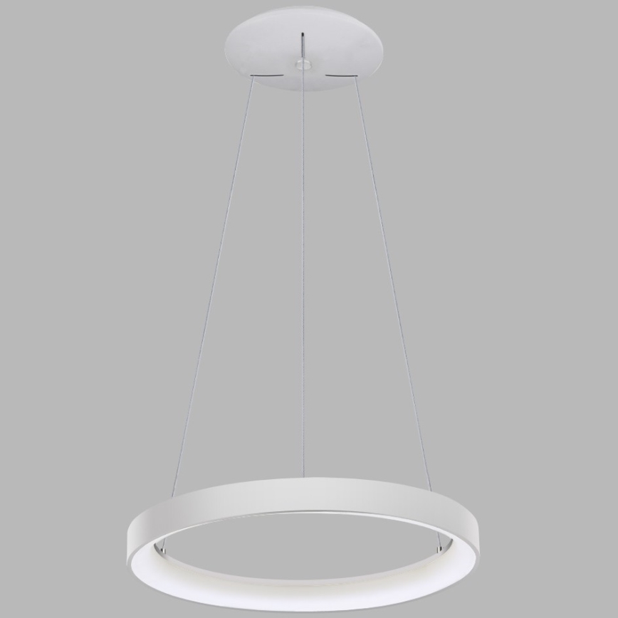 LED2 - LED luster na sajli BELLA LED/48W/230V 3000K/4000K bela