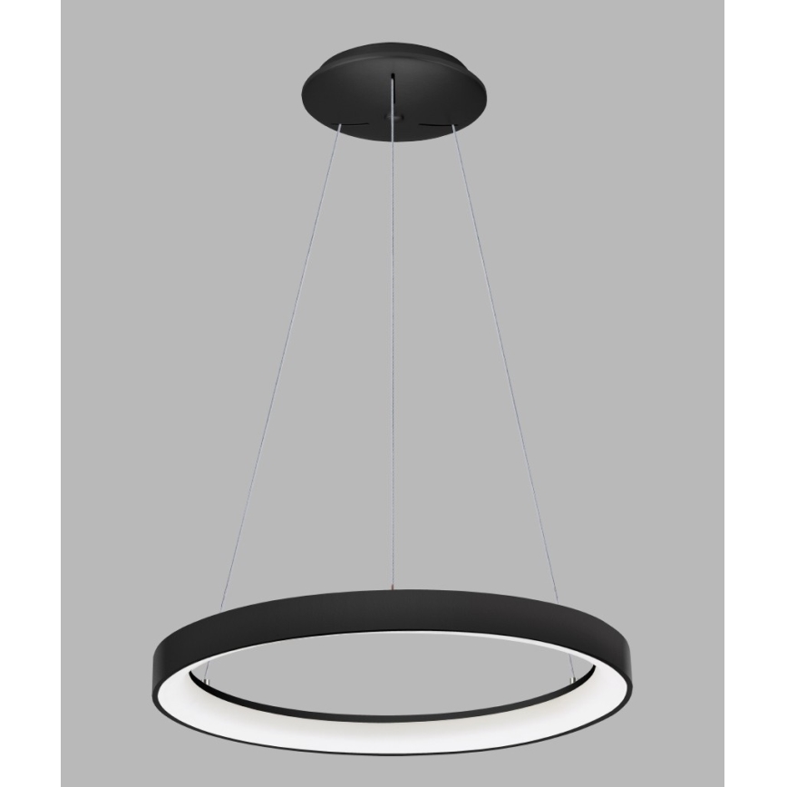 LED2 - LED luster na sajli BELLA LED/48W/230V 3000K/4000K crna
