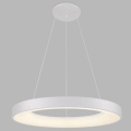 LED2 - LED luster na sajli BELLA LED/50W/230V 3000/4000K bela