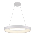 LED2 - LED luster na sajli BELLA LED/50W/230V 3000K, prečnik 60 cm, beo