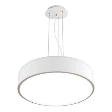 LED2 - LED luster na sajli MONO LED/60W/230V 3000/4000K bela