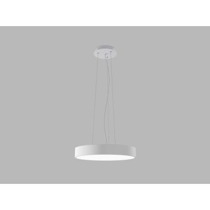 LED2 - LED luster na sajli MONO SLIM LED/30W/230V 3000K/4000K preč. 40 cm bela