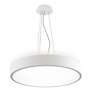 LED2 - LED luster na sajli ROTO LED/48W/230V 2700K/3300K/4000K IP40 bela prečnik 40 cm