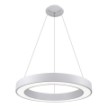 LED2 - LED luster na sajli SATURN LED/50W/230V 3000/4000K bela