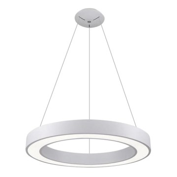 LED2 - LED luster na sajli SATURN LED/50W/230V 3000K prečnik 60 cm bela