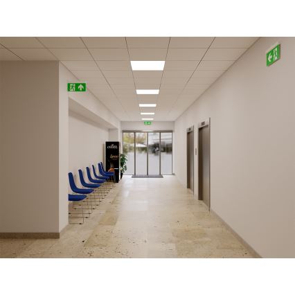 LED2 - LED nužna svetiljka SAFE ALL LED/2W/3,6V 6000K IP40