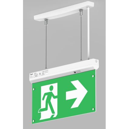 LED2 - LED nužna svetiljka SAFE ALL LED/2W/3,6V 6000K IP40