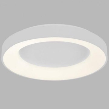 LED2 - LED plafonska svetiljka BELLA LED/40W/230V 3000/4000K bela
