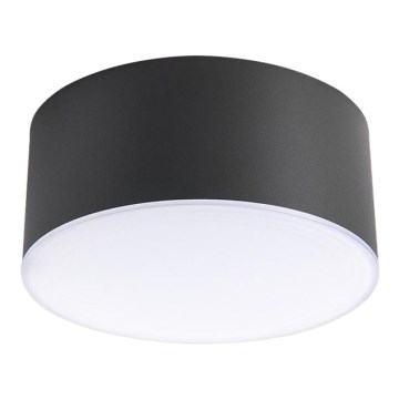 LED2 - LED plafonsko svetlo BUTTON LED/17W/230V antracit