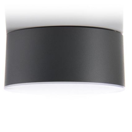 LED2 - LED plafonsko svetlo BUTTON LED/17W/230V antracit