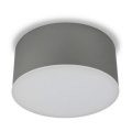 LED2 - LED plafonsko svetlo BUTTON LED/17W/230V srebrno