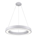 LED2 - LED prigušiva luster na sajli SATURN LED/50W/230V 3000K/4000K bela