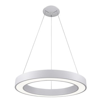 LED2 - LED prigušiva luster na sajli SATURN LED/50W/230V 3000K/4000K bela