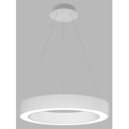 LED2 - LED prigušiva luster na sajli SATURN LED/50W/230V 3000K/4000K bela