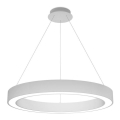 LED2 - LED prigušiva luster na sajli SATURN LED/60W/230V 3000K/4000K bela