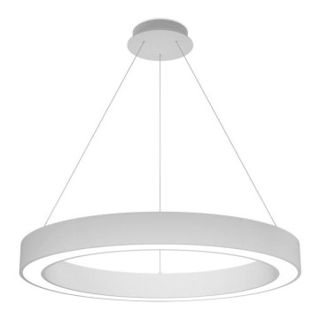 LED2 - LED prigušiva luster na sajli SATURN LED/60W/230V 3000K/4000K bela