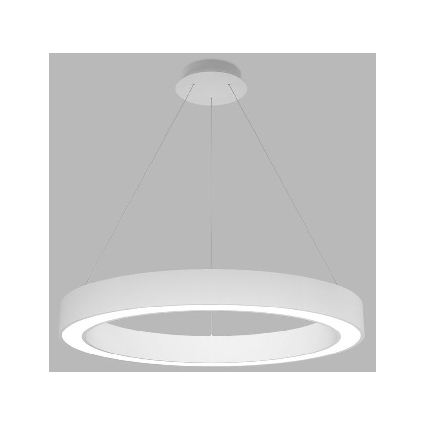 LED2 - LED prigušiva luster na sajli SATURN LED/60W/230V 3000K/4000K bela