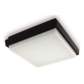 LED2 - LED spoljašnje plafonsko svetlo QUADO LED/10W/230V antracit IP54