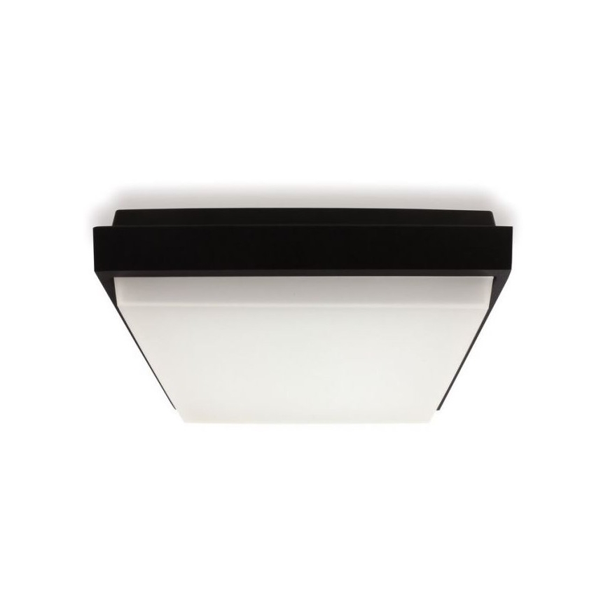 LED2 - LED spoljašnje plafonsko svetlo QUADO LED/10W/230V antracit IP54