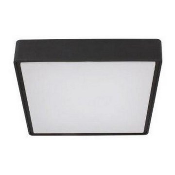 LED2 - LED Spoljašnje svetlo sa senzorom SOLO  LED/16W/230V 3000/4000/6500K IP65