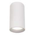 LED2 - LED spot svetiljka LUKY LED/20W/230V 3000K CRI 90