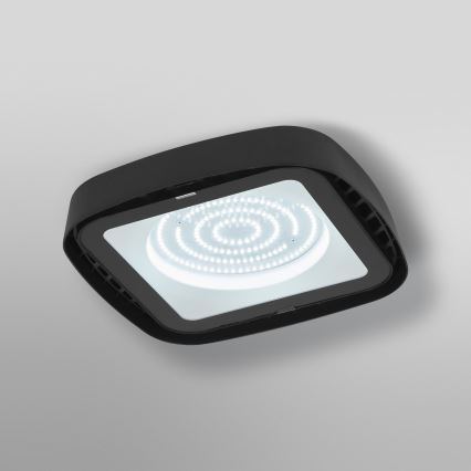 Ledvance - LED plafonsko industrijsko svetlo HIGHBAY LED/130W/230V IP65 6500K