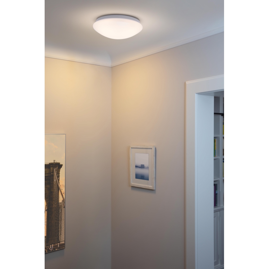 Ledvance - LED plafonsko svetlo ESSENTIAL LED/13W/230V 6500K