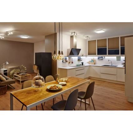 Ledvance - LED plafonsko svetlo LUNIVE LED/24W/230V