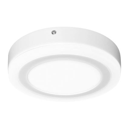 Ledvance - LED plafonsko svetlo ROUND LED/15W/230V prečnik 20 cm
