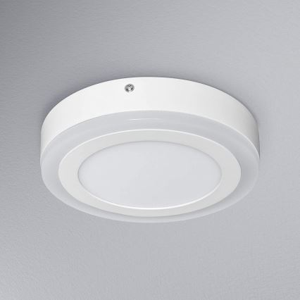 Ledvance - LED plafonsko svetlo ROUND LED/15W/230V prečnik 20 cm