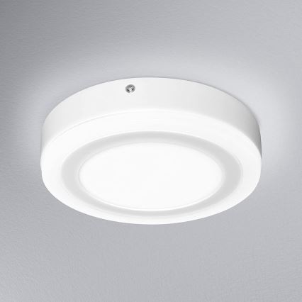 Ledvance - LED plafonsko svetlo ROUND LED/15W/230V prečnik 20 cm