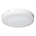 Ledvance - LED plafonsko svetlo ROUND LED/18W/230V prečnik 30 cm