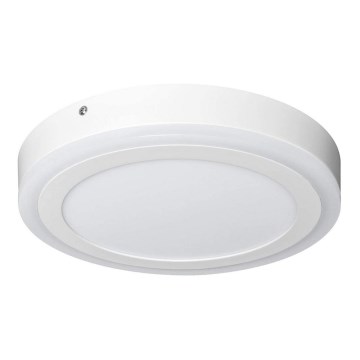 Ledvance - LED plafonsko svetlo ROUND LED/18W/230V prečnik 30 cm