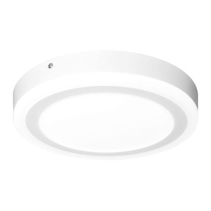 Ledvance - LED plafonsko svetlo ROUND LED/18W/230V prečnik 30 cm