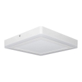 Ledvance - LED plafonsko svetlo SQUARE LED/18W/230V