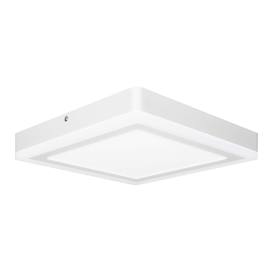 Ledvance - LED plafonsko svetlo SQUARE LED/18W/230V