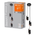 Ledvance - LED prigušiva luster na sajli SMART+ DECOR 3xLED/8W/230V crna Wi-Fi