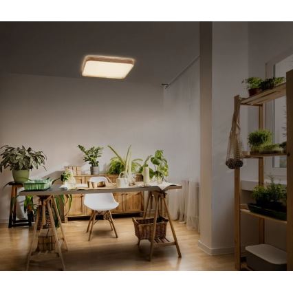 Ledvance - LED prigušiva plafonska svetiljka ORBIS LED/16W/230V 3000K 29x29 cm