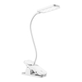 Ledvance - LED prigušiva stona dodirna lampa PANAN LED/5,2W/5V 1200 mAh