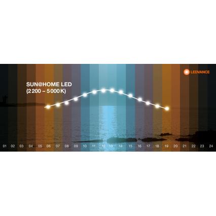 Ledvance - LED stropno svetlo sa prigušiva SUN@HOME LED/35W/230V 2200-5000K CRI 95 Wi-Fi